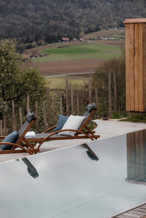 Am Wildbachberg - Luxus Ferienhaeuser Mit Infinitypool, Privatsauna Und Weinkeller Deutschlandsberg Extérieur photo