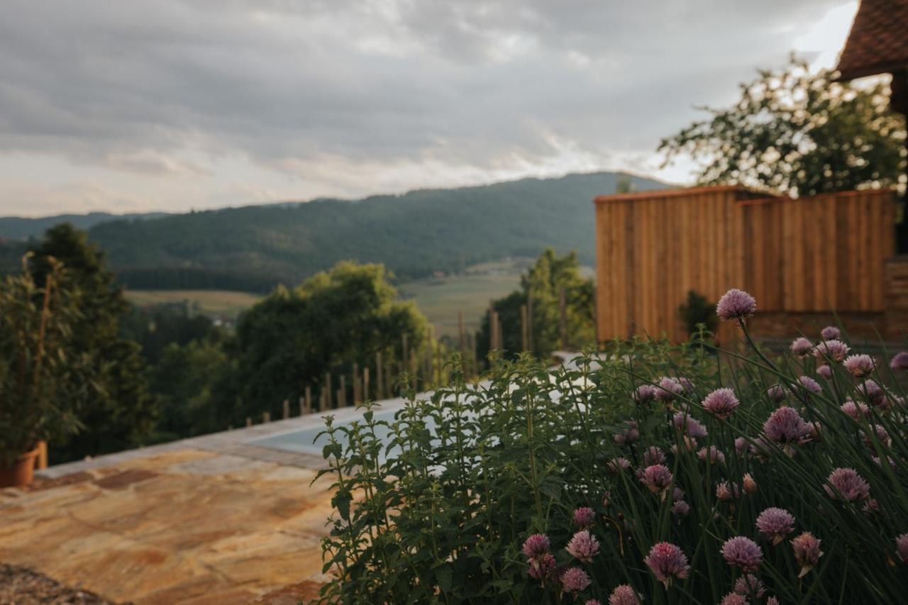 Am Wildbachberg - Luxus Ferienhaeuser Mit Infinitypool, Privatsauna Und Weinkeller Deutschlandsberg Extérieur photo