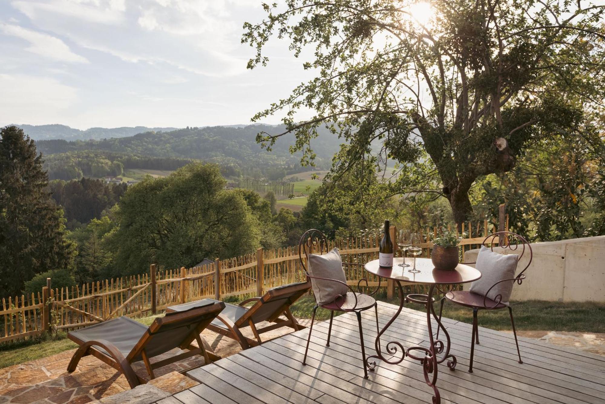 Am Wildbachberg - Luxus Ferienhaeuser Mit Infinitypool, Privatsauna Und Weinkeller Deutschlandsberg Extérieur photo